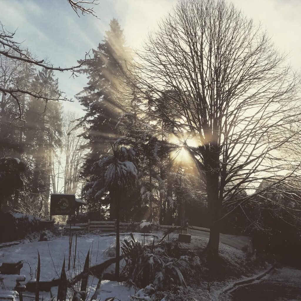 fb img 1764333388423