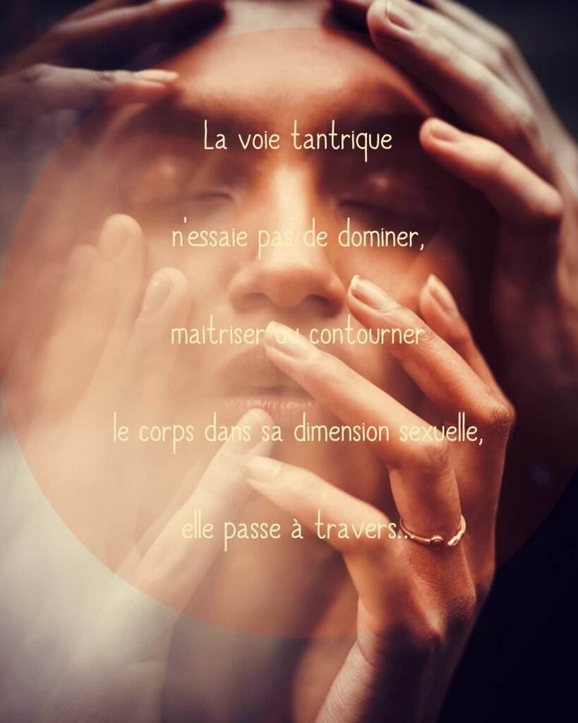 468210590 3946858338887269 1490924154992942653 n